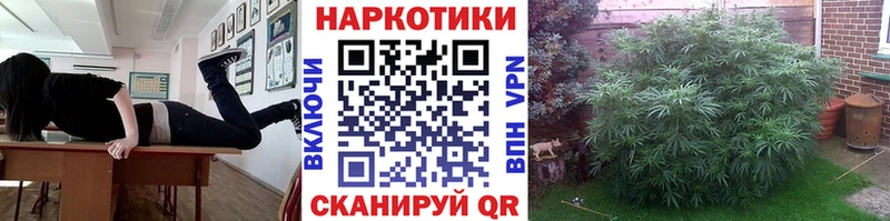 Купить Каневская ГАШ Марихуана СОЛЬ АМФ Кокаин Мефедрон